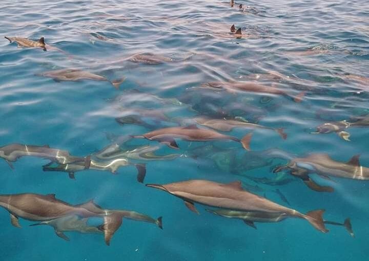 10 top Attractions in Marsa Alam
